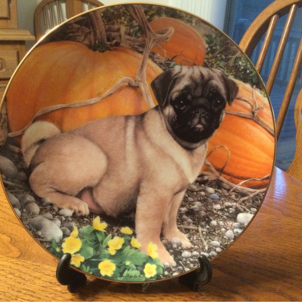 Danbury Mint Pumpkin Patch Pug Plate